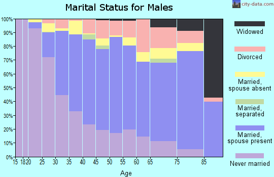 Zip code 94577 marital status for males