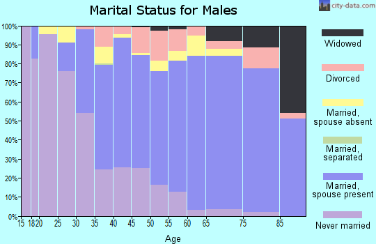 Zip code 94579 marital status for males