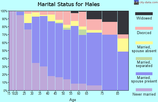Zip code 94580 marital status for males