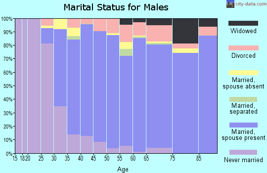 Zip code 94583 marital status for males