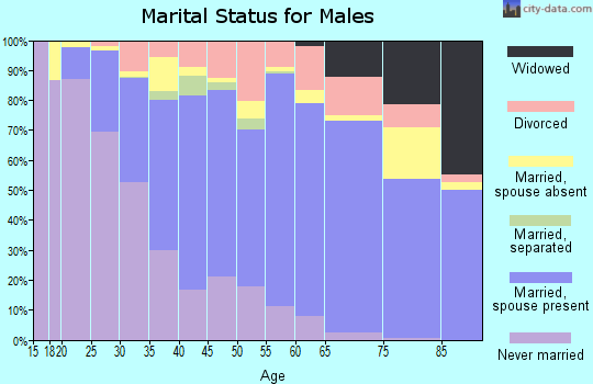 Zip code 94585 marital status for males