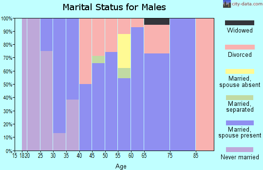 Zip code 94586 marital status for males