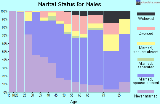 Zip code 94589 marital status for males