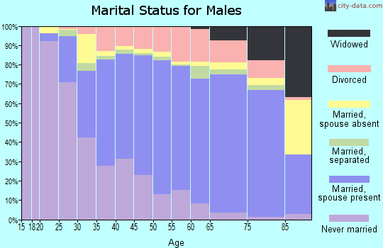 Zip code 94591 marital status for males