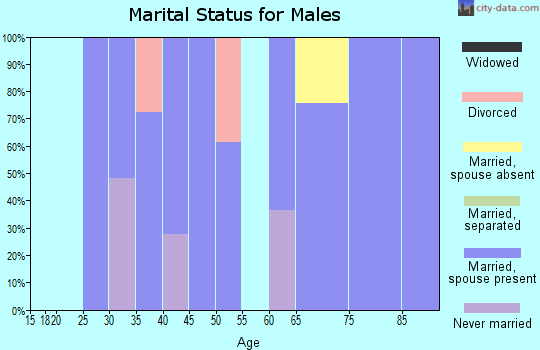 Zip code 94592 marital status for males