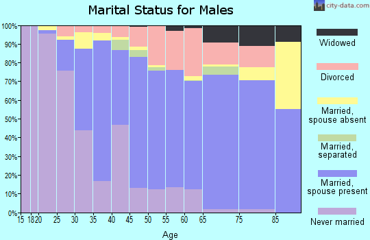 Zip code 94596 marital status for males