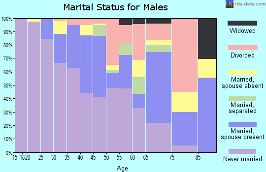 Zip code 94704 marital status for males