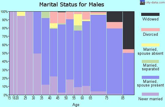 Zip code 94707 marital status for males