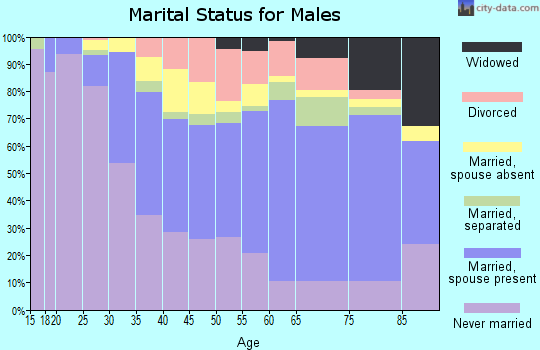 Zip code 94804 marital status for males