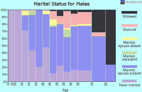 Zip code 94805 marital status for males