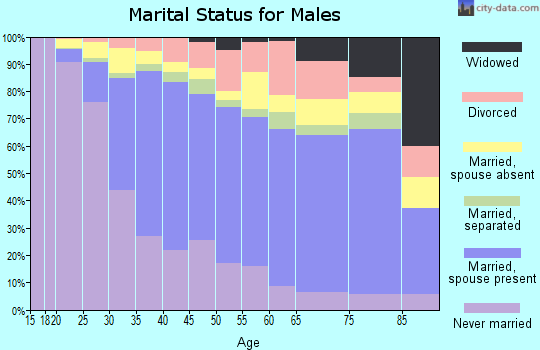 Zip code 94806 marital status for males