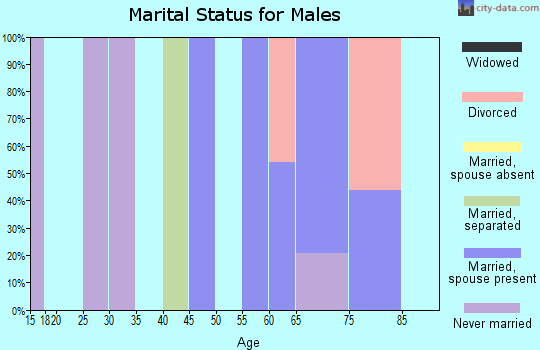 Zip code 94923 marital status for males