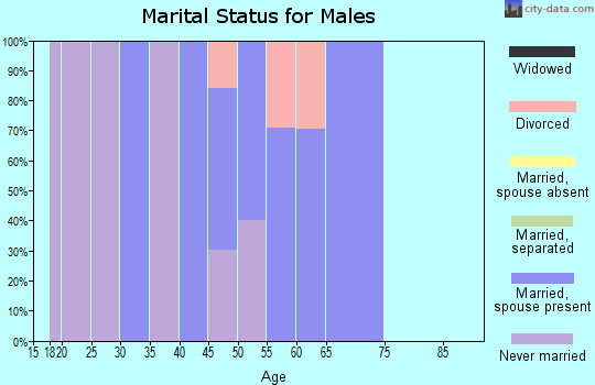 Zip code 94933 marital status for males