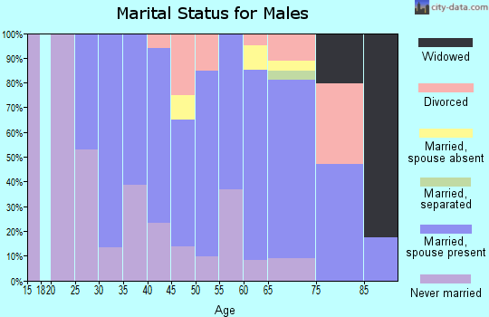 Zip code 94939 marital status for males