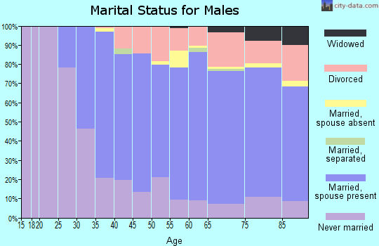 Zip code 94941 marital status for males