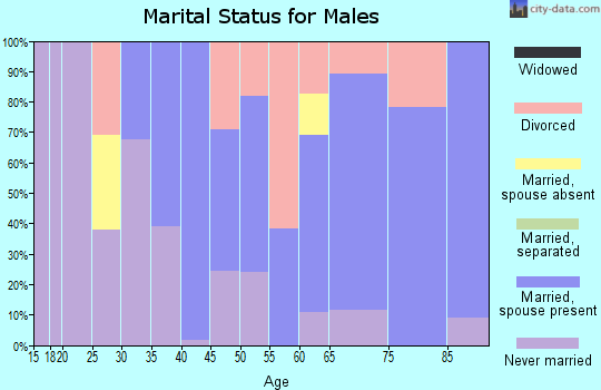 Zip code 94951 marital status for males