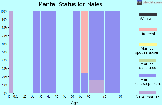 Zip code 94963 marital status for males