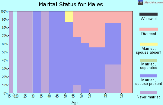 Zip code 94973 marital status for males