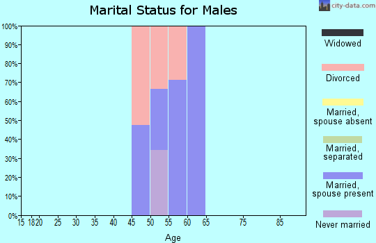 Zip code 95007 marital status for males
