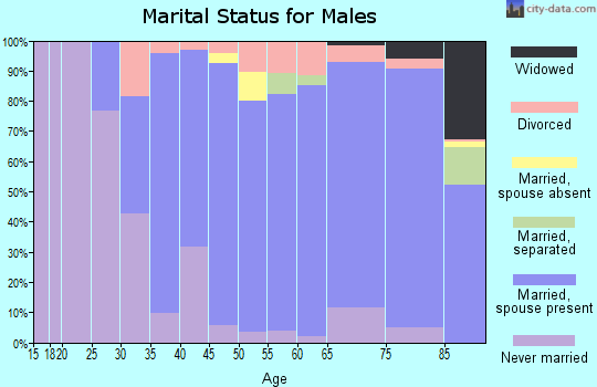 Zip code 95030 marital status for males
