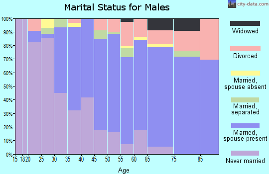 Zip code 95033 marital status for males