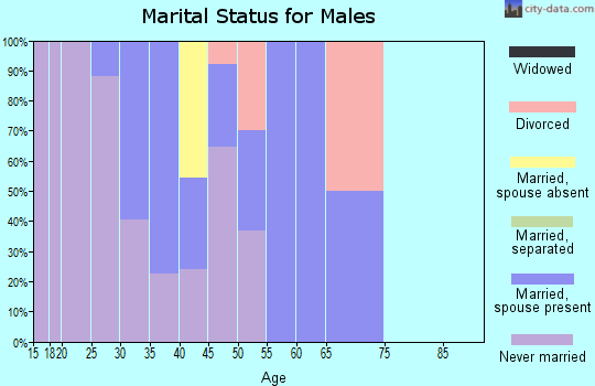 Zip code 95039 marital status for males