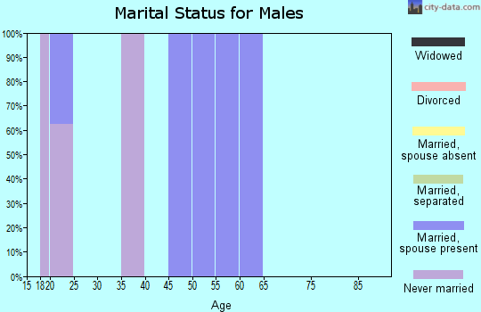 Zip code 95041 marital status for males
