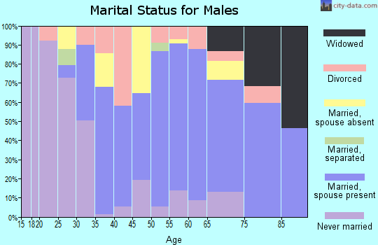 Zip code 95046 marital status for males