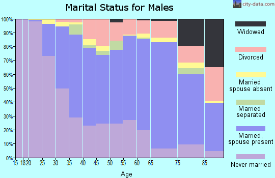 Zip code 95050 marital status for males