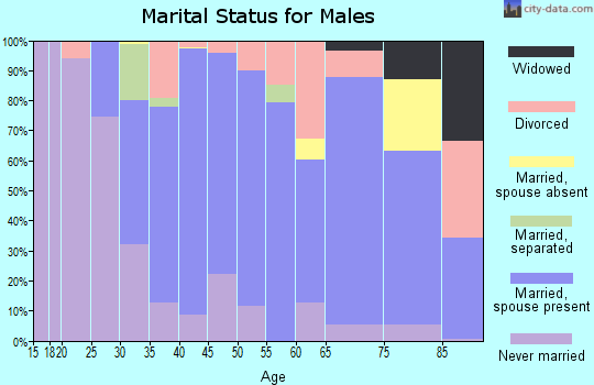 Zip code 95066 marital status for males