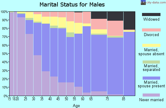 Zip code 95111 marital status for males