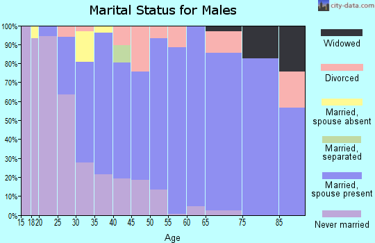 Zip code 95119 marital status for males