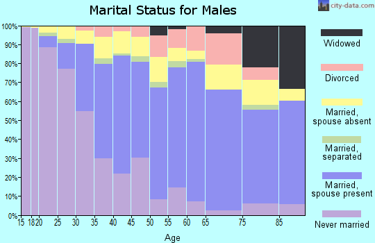 Zip code 95122 marital status for males