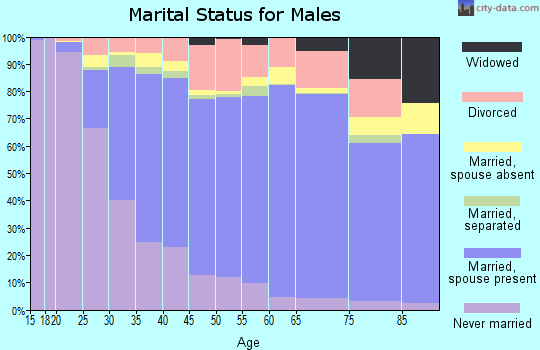 Zip code 95123 marital status for males
