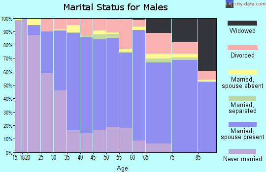 Zip code 95124 marital status for males