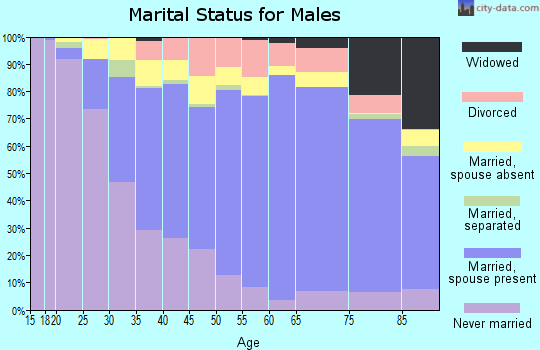 Zip code 95127 marital status for males