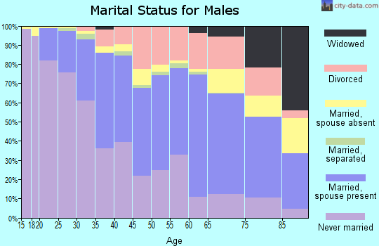 Zip code 95128 marital status for males