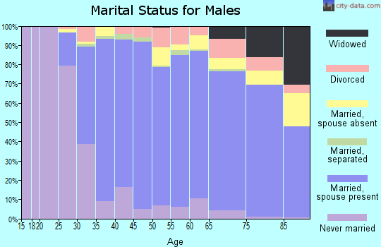 Zip code 95129 marital status for males