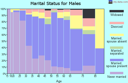 Zip code 95131 marital status for males