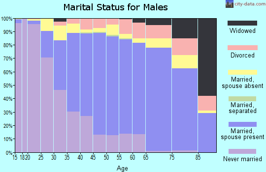 Zip code 95132 marital status for males