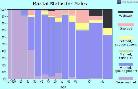 Zip code 95135 marital status for males