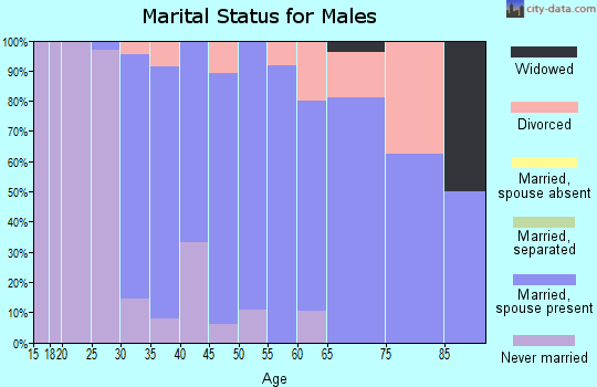 Zip code 95139 marital status for males