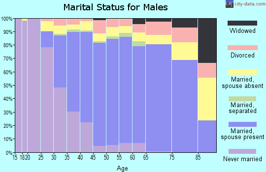 Zip code 95148 marital status for males