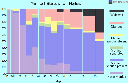 Zip code 95204 marital status for males