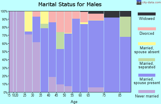 Zip code 95220 marital status for males