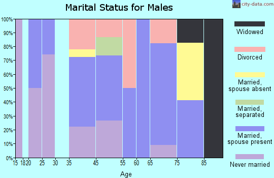 Zip code 95221 marital status for males