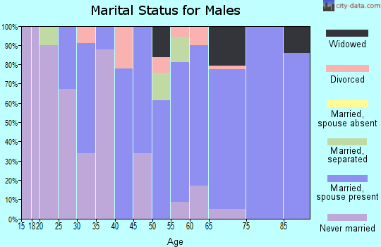 Zip code 95222 marital status for males