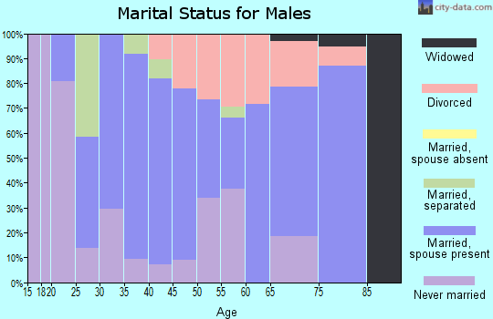Zip code 95228 marital status for males