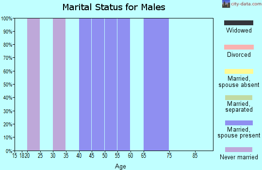 Zip code 95232 marital status for males