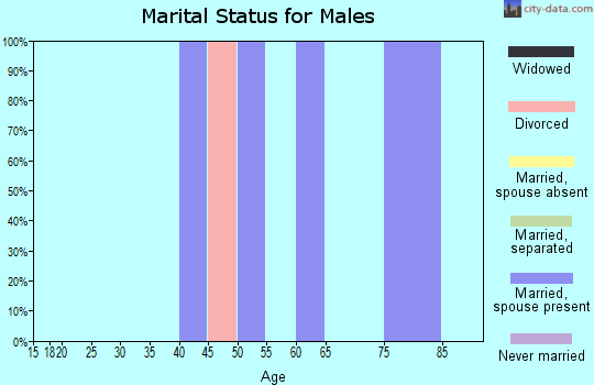Zip code 95233 marital status for males